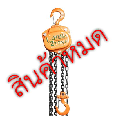 %E0%B8%A3%E0%B8%AD%E0%B8%81%E0%B9%82%E0%B8%8B%E0%B9%88 Manual Chain Hoist VITAL out